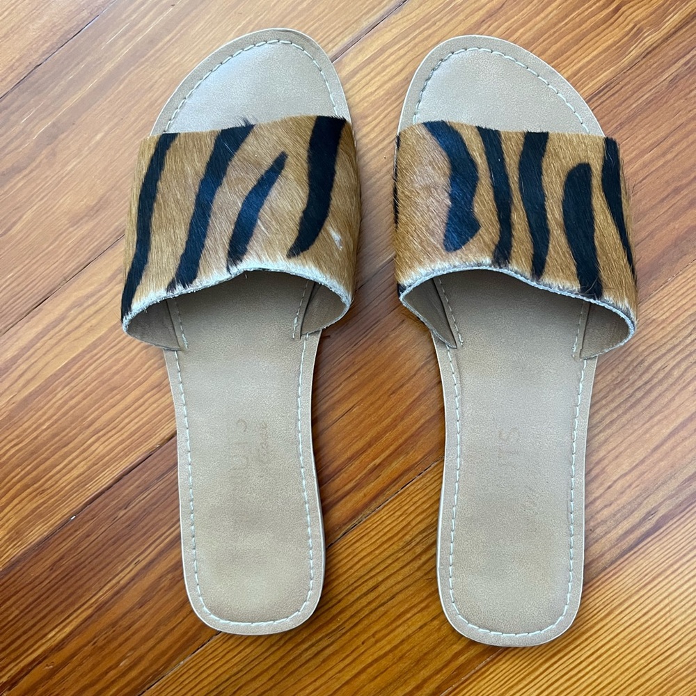 Coconuts by Matisse Slides